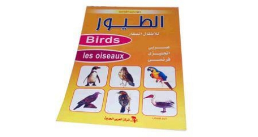 Picture of My First Picture Book Birds for kids Modern Arab Center