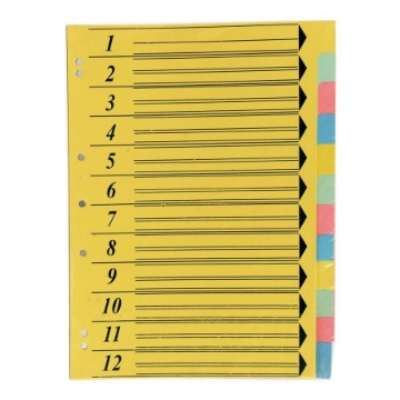 Picture of Cardboard Dividers12-Color