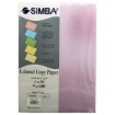 Bild von Kopierpapier-Paket in Pastellfarben 100 Blatt 80g A4 Größe – Simba
